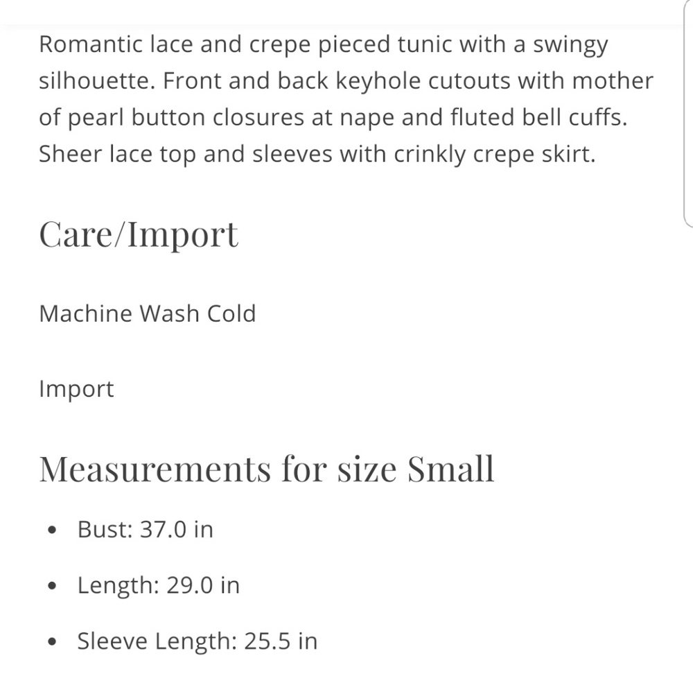 Free People Secret Origins Pieced Lace Tunic - Picture 6 of 7